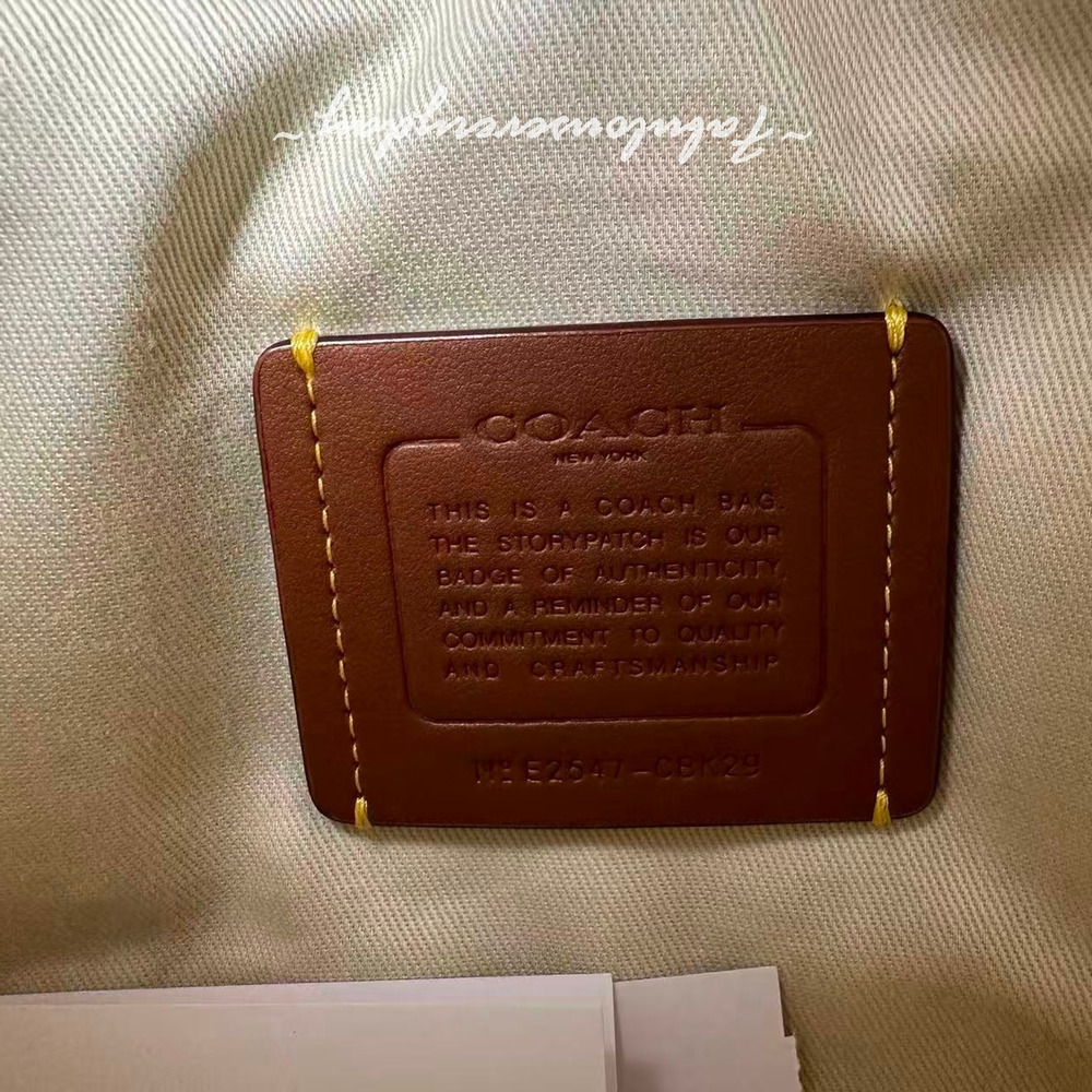 Coach Tote Crossbody Bag 20 With Coach Graphic In Canvas/Natural Multi CBK29 NWT - Picture 6 of 9